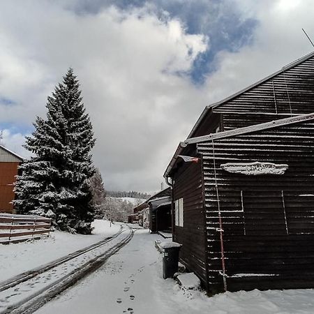 Penzion Apartmany Aninka Marianska Exterior photo